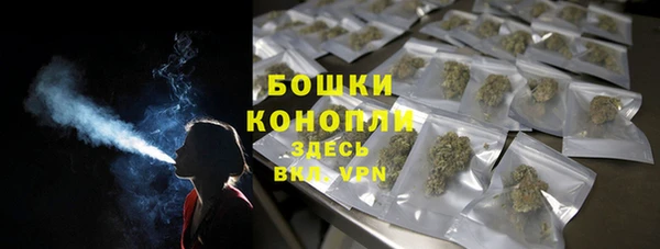 винт Лабытнанги