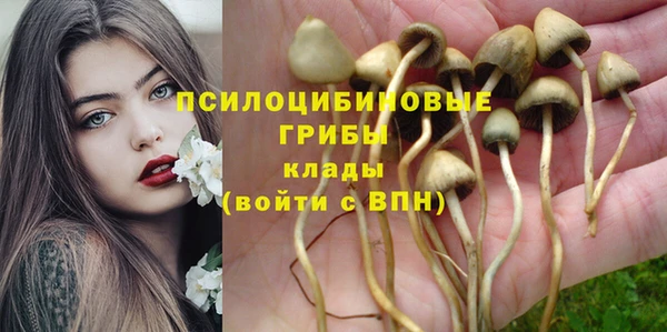сатива Лихославль