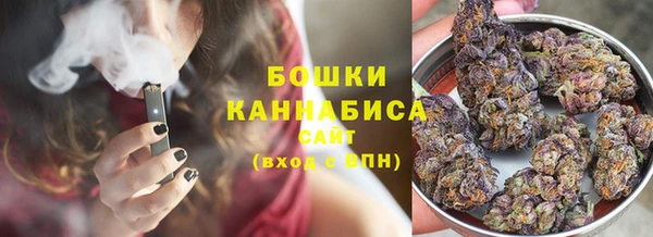 PSILOCYBIN Лагань