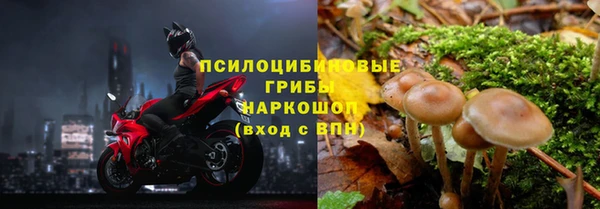 сатива Лихославль