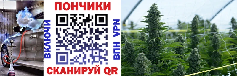 Конопля White Widow  Купить где  Барабинск 